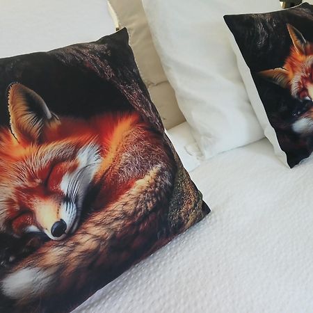 Le Loft Du Renard, Gite Rural A Namur Wepion Buitenkant foto
